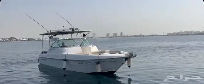 قارب للايجار 13