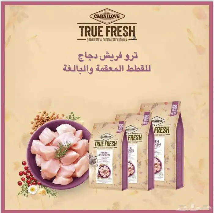 متجر Modi Birds مودي للحيوانات الاليفة 6