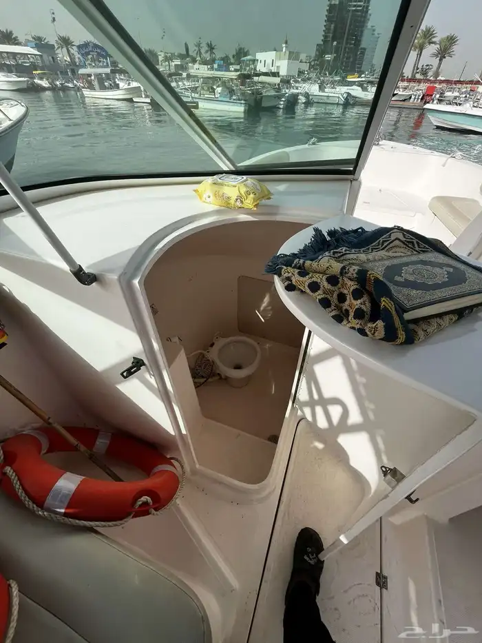 قارب للايجار 12