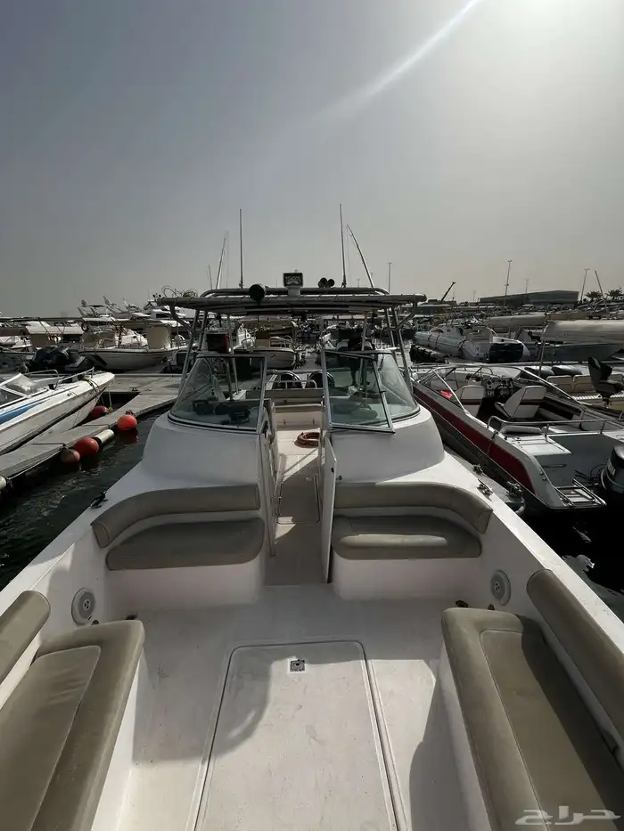 قارب للايجار 7