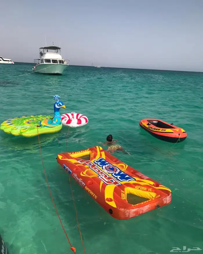 تاجير طلعات ورحلات بحريه ورحلات جزيره بياضه شباب وعوائل 3