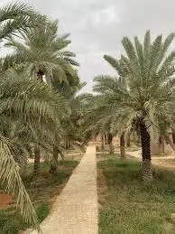 مطلوب مزرعة 0