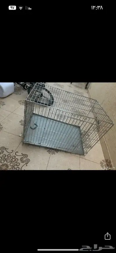 بيت للكلاب والقطط 2