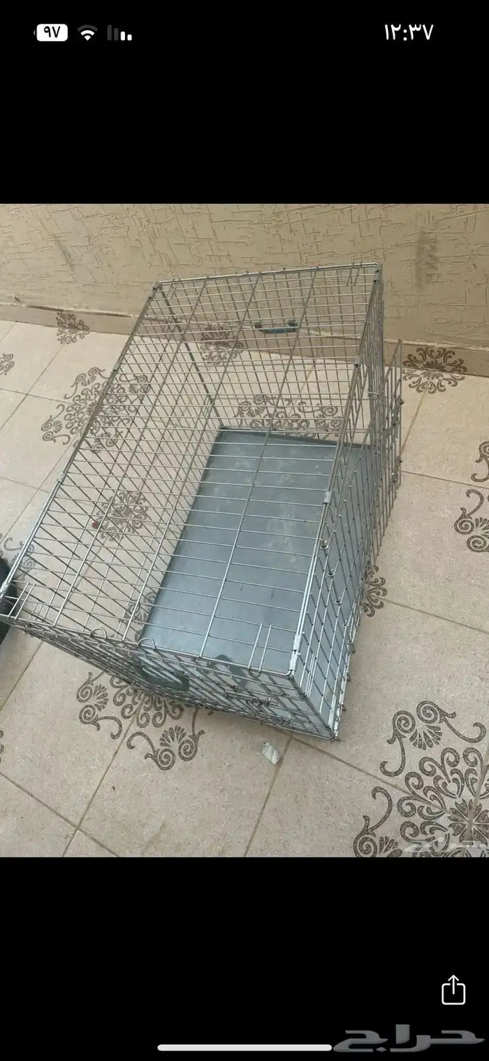 بيت للكلاب والقطط 1
