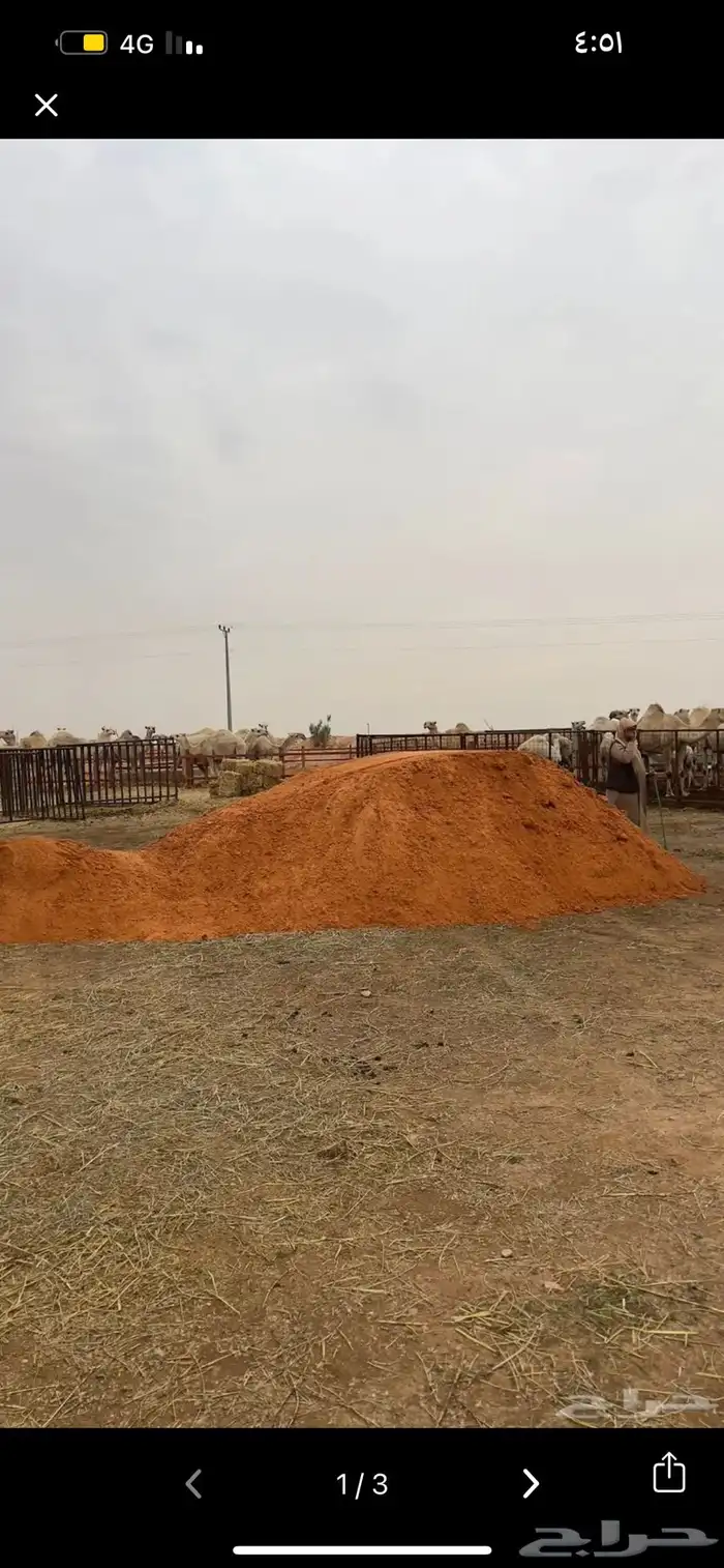 رمل نفود احمر توريد فالدوادمي 1