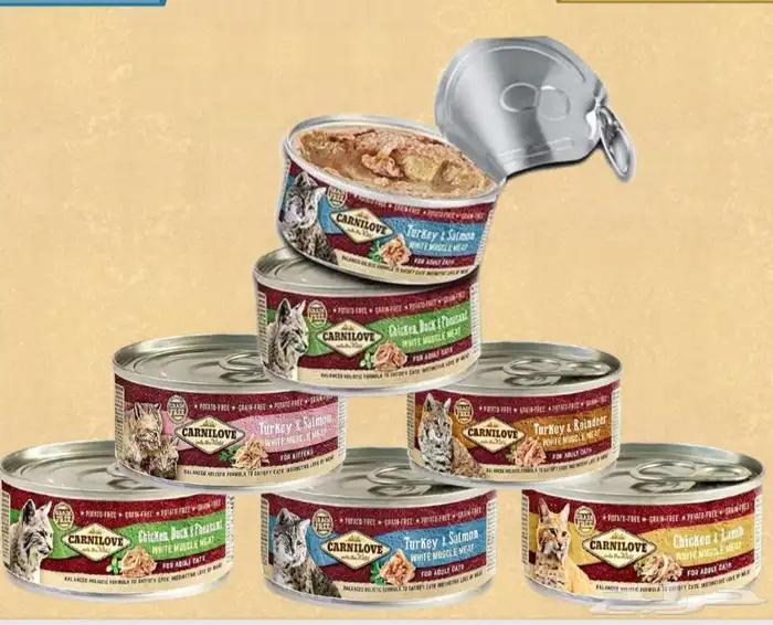 متجر Modi Birds مودي للحيوانات الاليفة 3