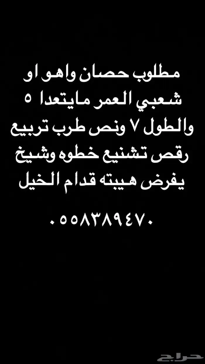 مطلوب حصان واهو او شعبي 0