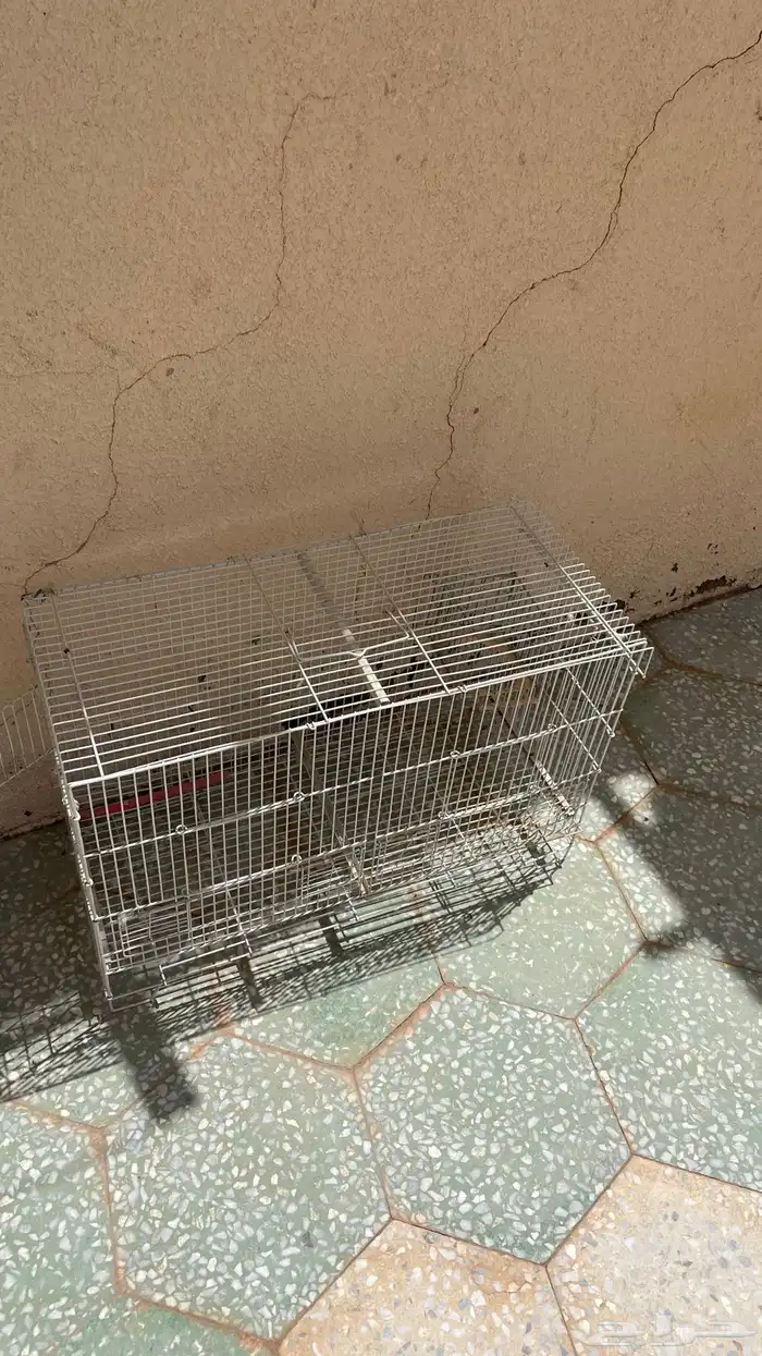 اقفاص طيور منوعه 1