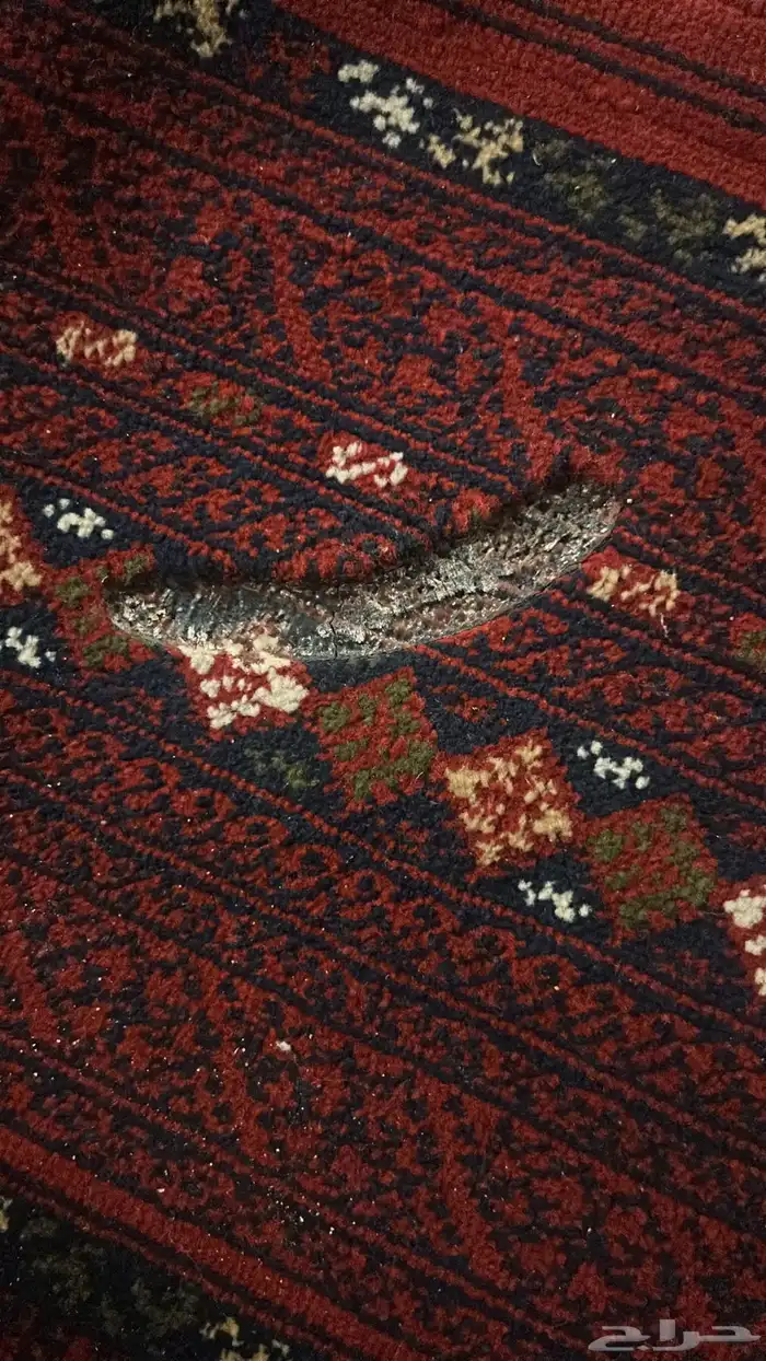 مدات السدو التراثيه 5