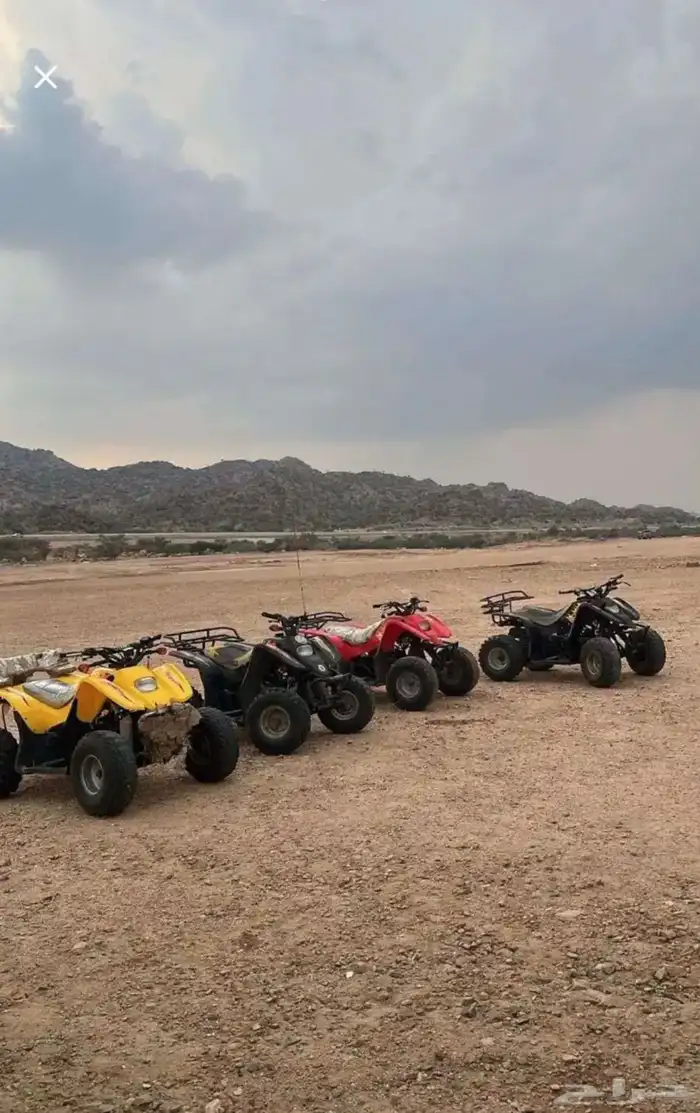 دبابات للإجار 0