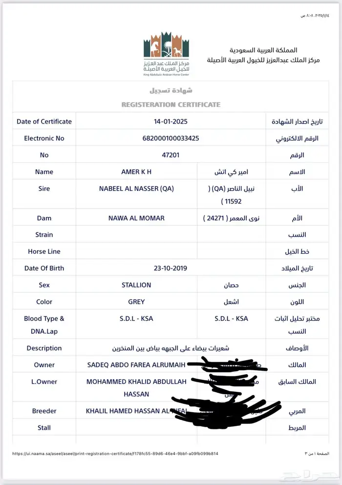 حصان واهو تم البيع 4