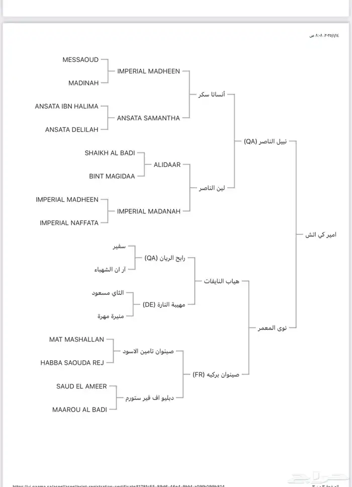 حصان واهو تم البيع 5