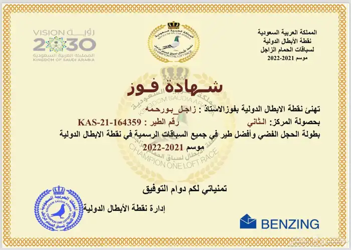 ذكر زاجل سباق مميز أبناء حجول ذهبية (تم البيع) 2