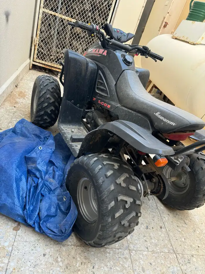 دباب مقاس 100 3