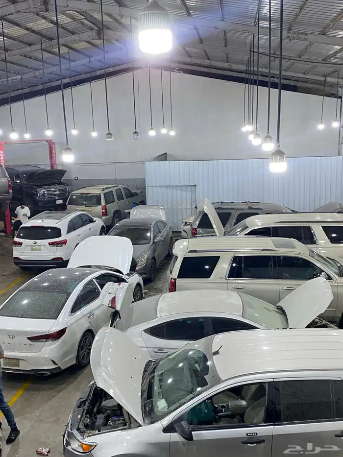 مكاين اوبتيما وكالة كل موديلات 17