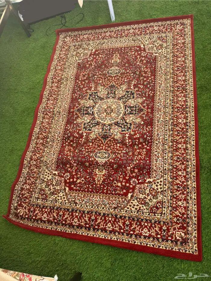 سجاد عنابي 1