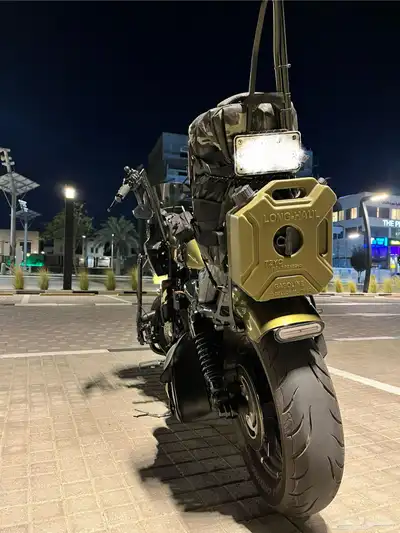 هارلي ديفيدسون سبوستر ايروHarle davidson sposter 883-2017 4