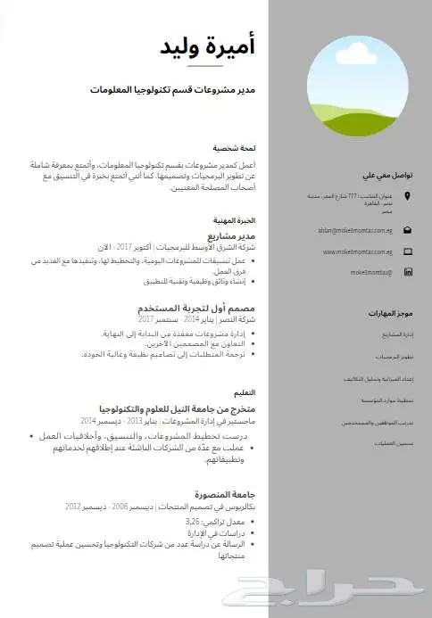 تصميم سيره ذاتيه عربي او انجليزي ATS بإحترافية 5