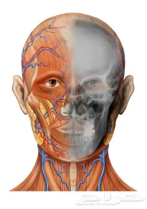 شرح خصوصي للمواد الطبية 1