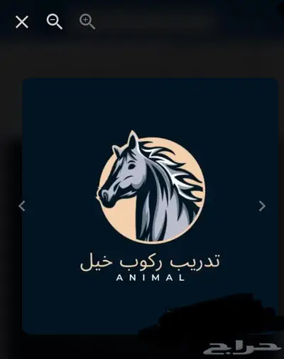 تدرييب خيول واستعراضات مهرجانات او افتتاحات او اي شي 0
