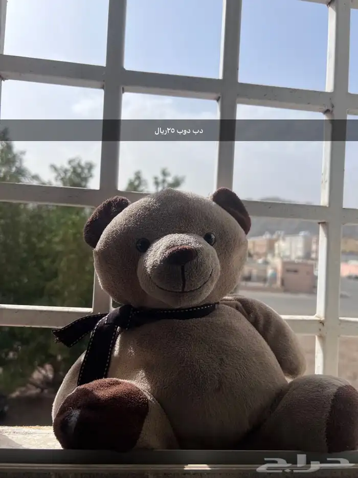 دب دوب 25ريال 0