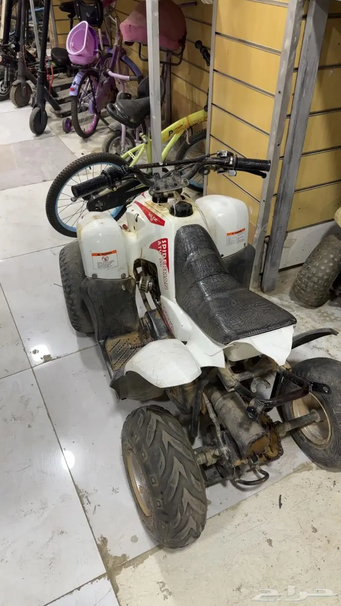دباب للبيع 1