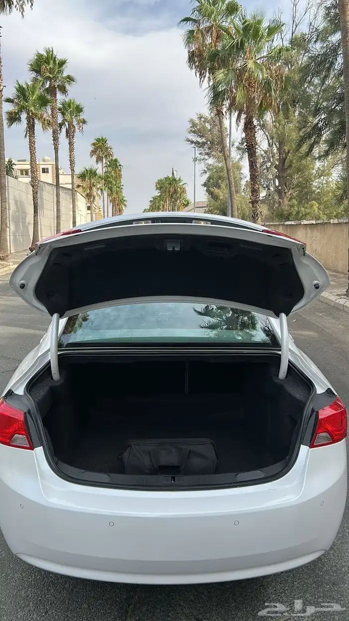 امبالا 2019 13