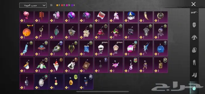 حساب ببجي للبيع مشحون كامل سيزونات 20