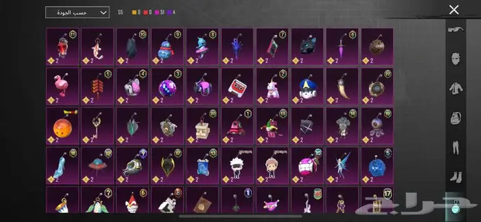 حساب ببجي للبيع مشحون كامل سيزونات 19