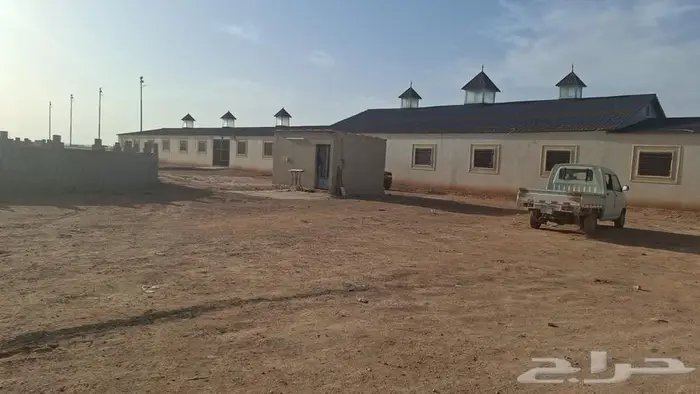 اسطبل خيل العربي والجمال اصطبل مربط اسطبلات نادي فروسيه 10