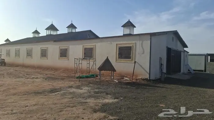 اسطبل خيل العربي والجمال اصطبل مربط اسطبلات نادي فروسيه 12