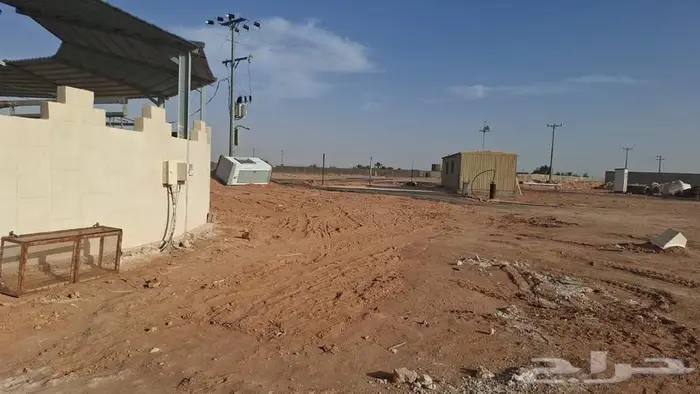 اسطبل خيل العربي والجمال اصطبل مربط اسطبلات نادي فروسيه 13