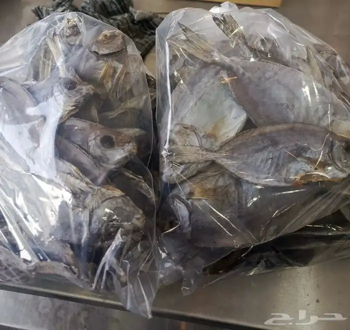 سمك صافي حلى 0