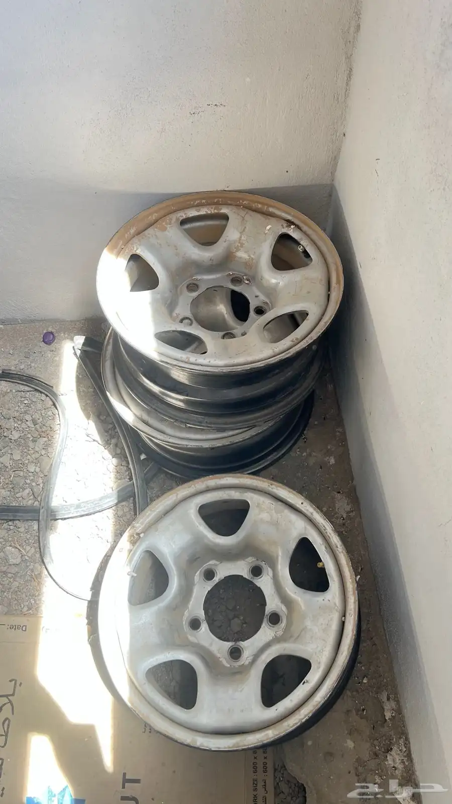 جنوط 16 1