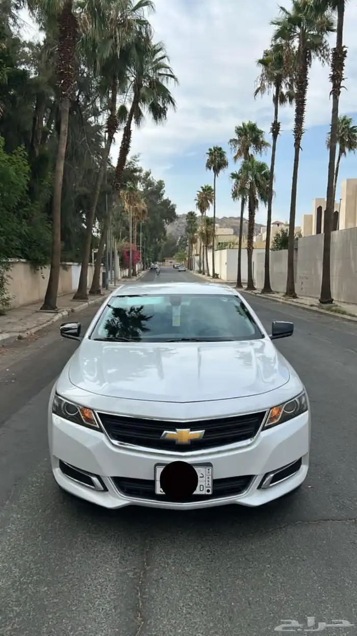 امبالا 2019 15
