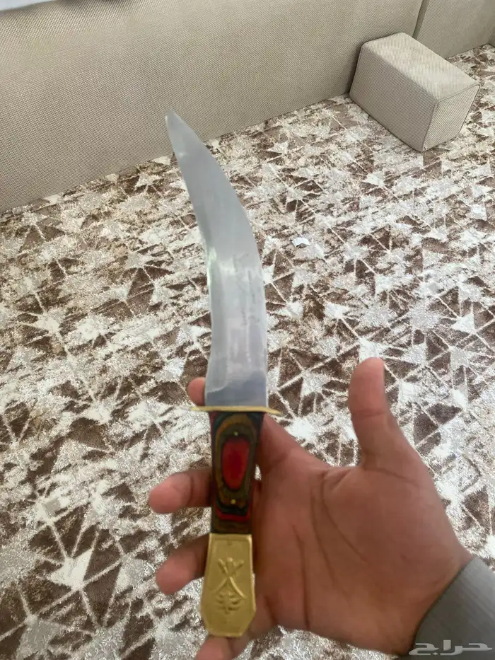 جنبيه دس جرمانيه قديمه 2