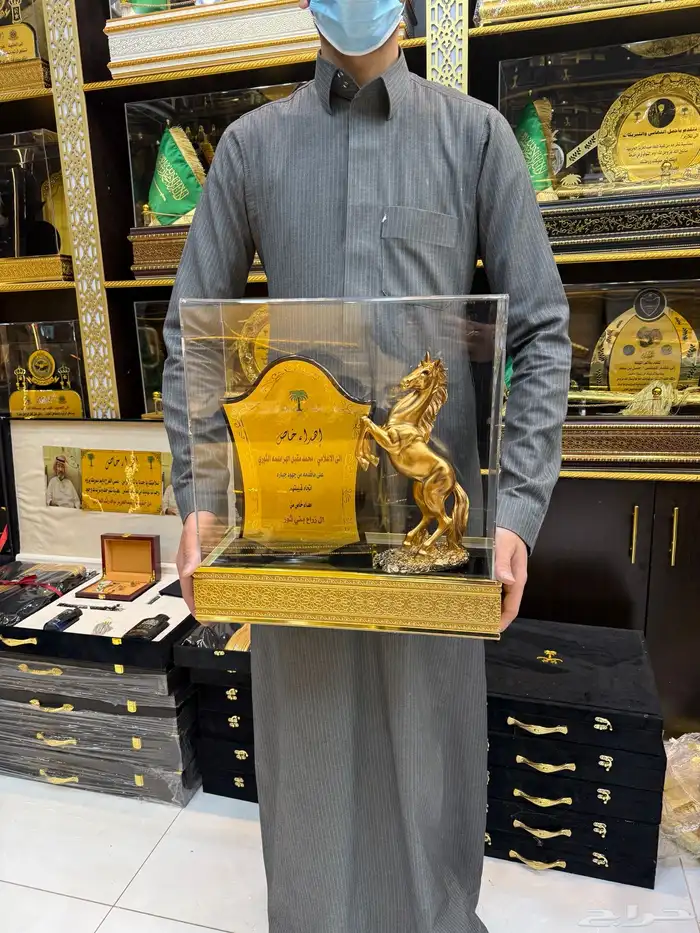 درع سيف ملازم تخروج ظابظ 17