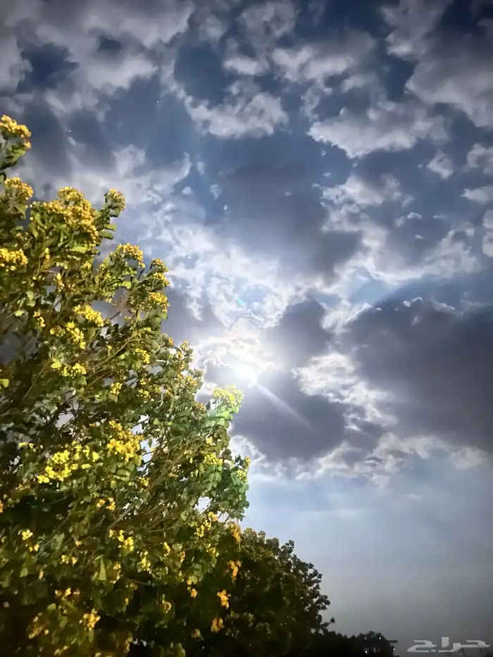 مزرعه منتجع شاليه 12