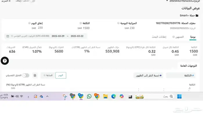 حملات اعلانية على تيك توك 2