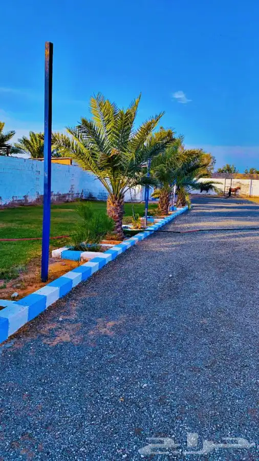 اصطببل مربط اسطبل خيل للاجار 0