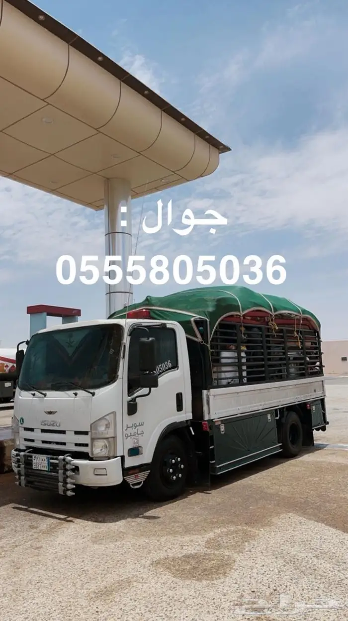 دينا 2014 للإجار مشوار الرياض 0