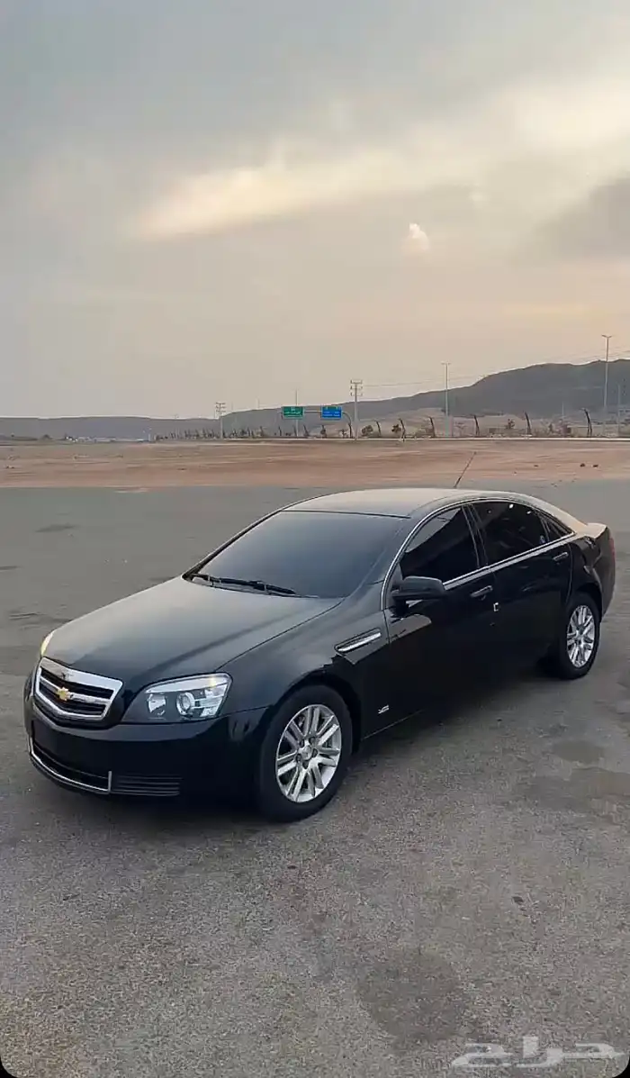 كابرس 2013 3
