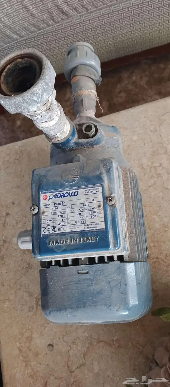 2دينومه ايطالي الاصلي شغالات على الشرط 1