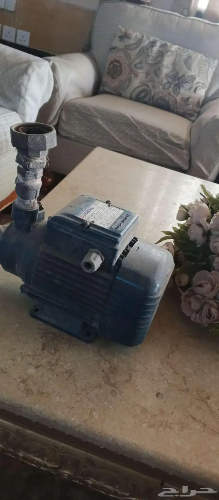 2دينومه ايطالي الاصلي شغالات على الشرط 0