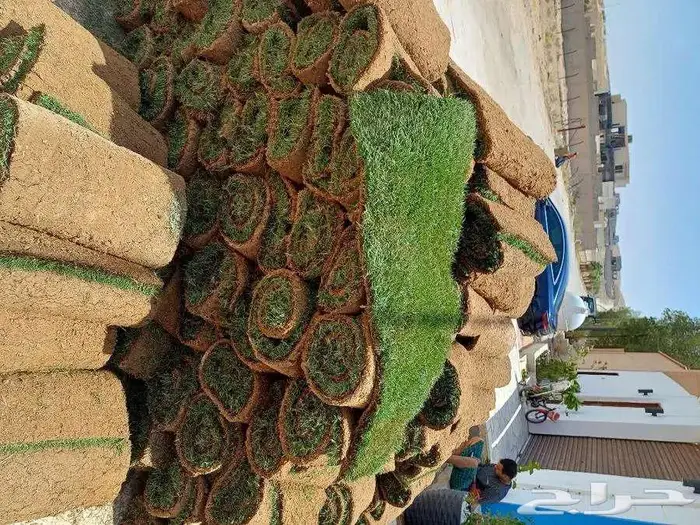 مزارع للحدائق الفلل والاستراحات في شمال الرياض 12