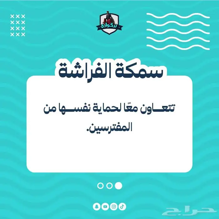 كتابة وتصميم محتوى ابداعي للسوشال ميديا 11