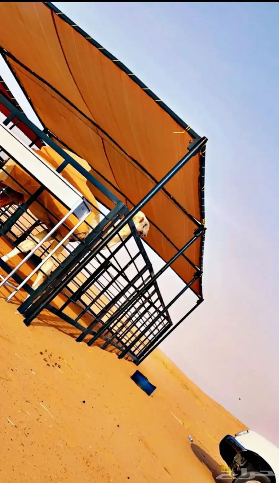 شبوك ابل مضلات ابل مضلات سيارات 0