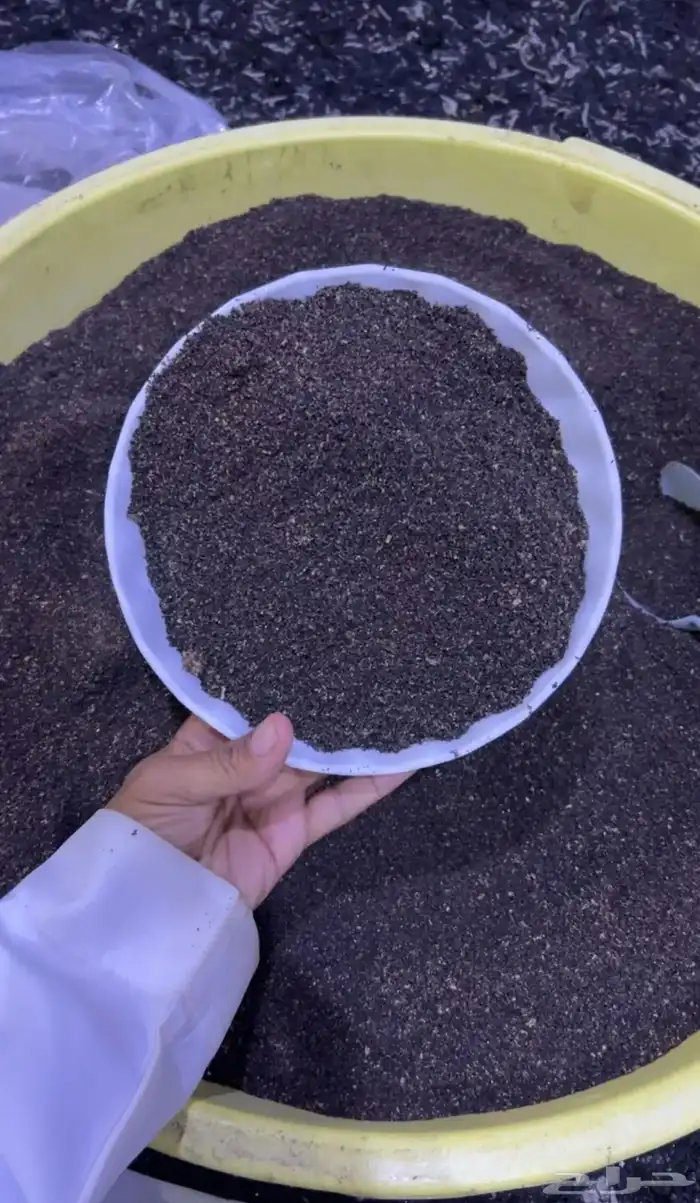 عسيب او نفض او سرف جاذب خلايا النحل مجرب ومضمون بأذن الله 1