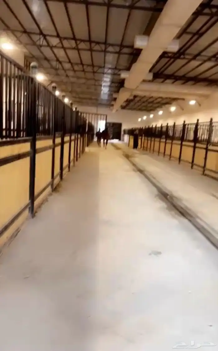 ايواء خيل بالرياض قريب ديراب 7