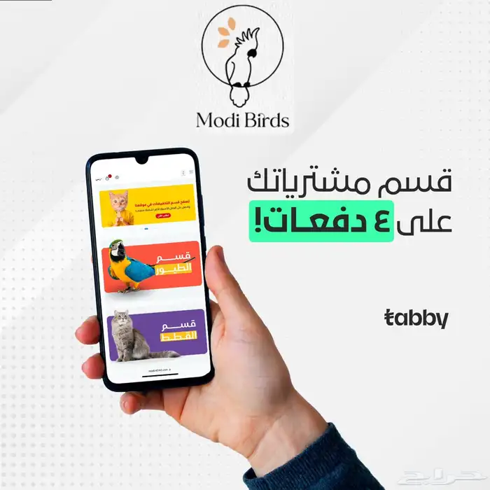 متجر Modi Birds مودي للحيوانات الاليفة 5